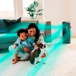 Shark - 3-in-1 Air Purifier, Heater & Fan with NanoSeal HEPA, Cleansense IQ, Odor Lock, for 500 Sq. Ft - Grey