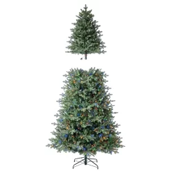 Tree Classics by Balsam Hill 9-ft Real Feel Heritage Balsam Fir Pre-lit LED Artificial Christmas Tree