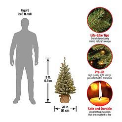 National Tree Company Pre-lit Artificial Mini Christmas Tree, Includes Small White LED Lights and Cloth Bag Base - 3 ft, Brown/Green