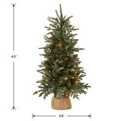 National Tree Company Pre-lit Artificial Mini Christmas Tree, Includes Small Lights and Cloth Bag Base, Burlap-4 ft, Green