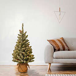National Tree Company Pre-lit Artificial Mini Christmas Tree, Includes Small White LED Lights and Cloth Bag Base - 3 ft, Brown/Green