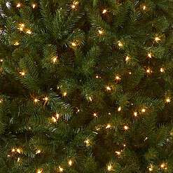 National Tree Company Pre-Lit Artificial Full Christmas Tree, Green, North Valley Spruce, White Lights, Includes Stand, 6.5 Feet