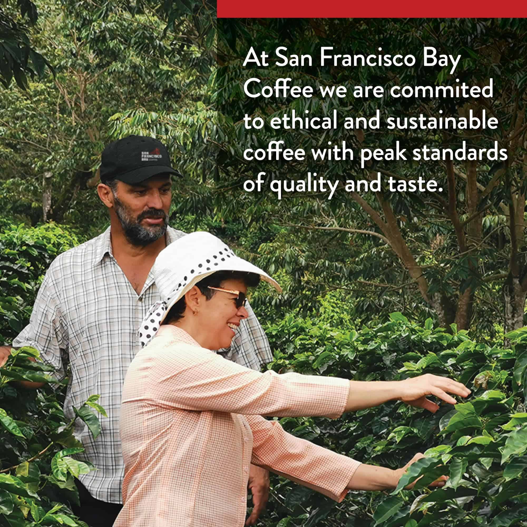 San Francisco Bay Compostable Coffee Pods, Original Variety Pack (120 Ct) K Cup Compatible including Keurig 2.0, Organic Rainforest