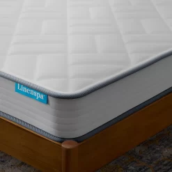 Linenspa Explorer 6