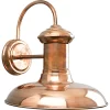 Progress Lighting Brookside 1-Light 12.37-in H Copper Dark Sky Outdoor Wall Light