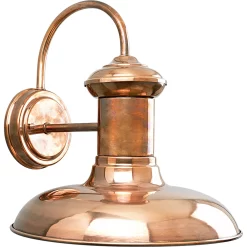 Progress Lighting Brookside 1-Light 12.37-in H Copper Dark Sky Outdoor Wall Light