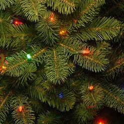 National Tree Company 6.5-ft Douglas Fir Pre-lit Artificial Christmas Tree with Multicolor LED Lights