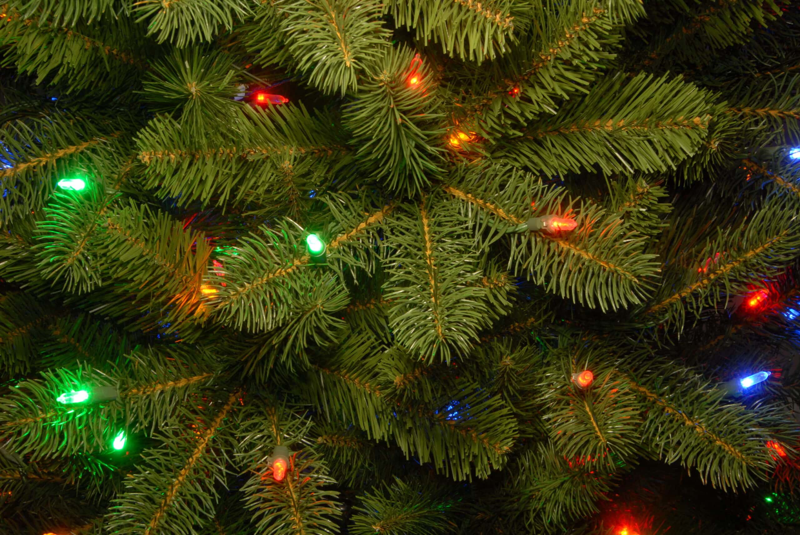 National Tree Company 6.5-ft Douglas Fir Pre-lit Artificial Christmas Tree with Multicolor LED Lights