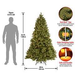 National Tree Company 6.5-ft Douglas Fir Pre-lit Artificial Christmas Tree with Multicolor LED Lights