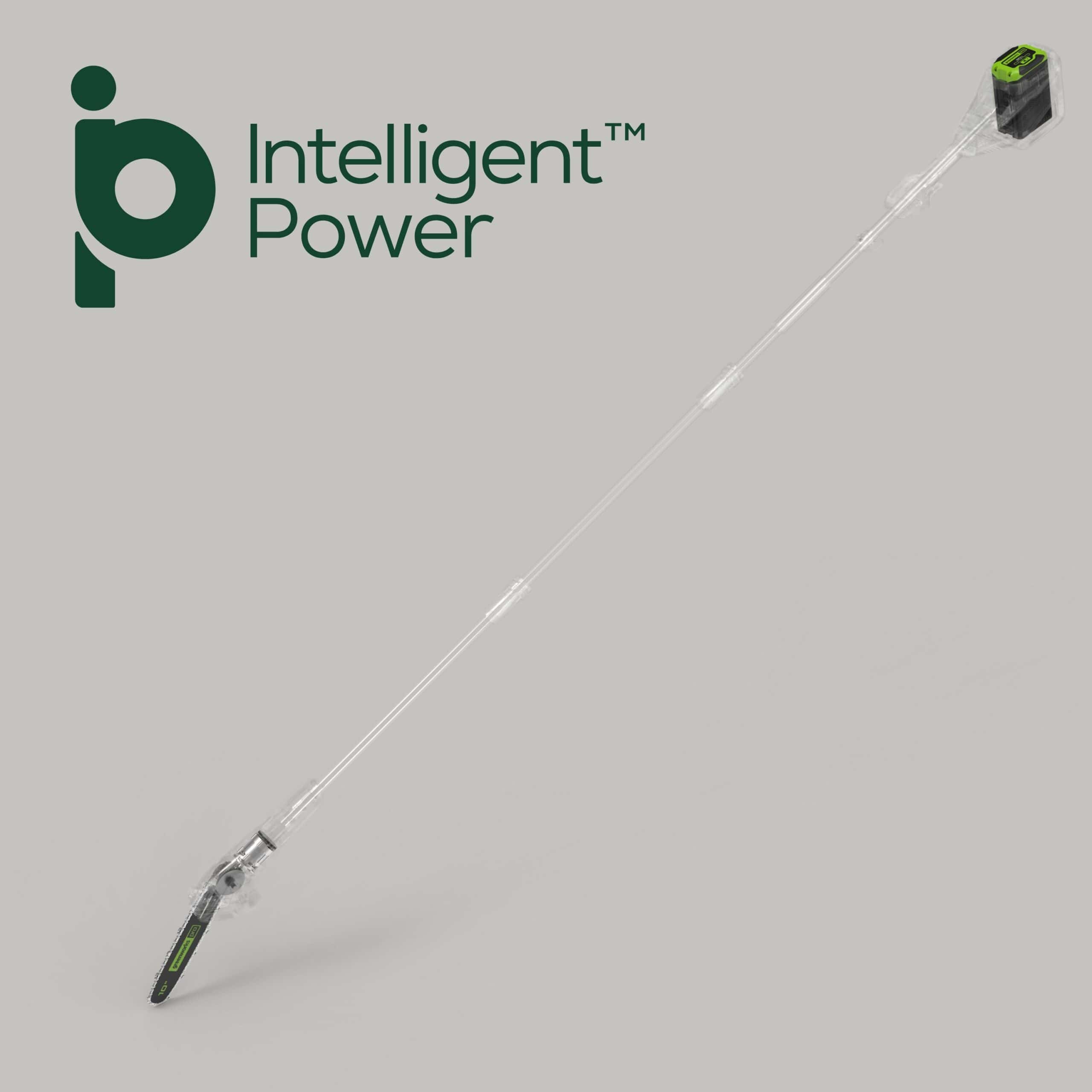 Greenworks 80-volt 10-in 2 Ah Battery Pole Saw (Battery and Charger Included)