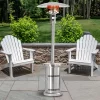 HEATMAXX 48000-BTU Stainless Steel Stainless Steel Floorstanding Liquid Propane Patio Heater