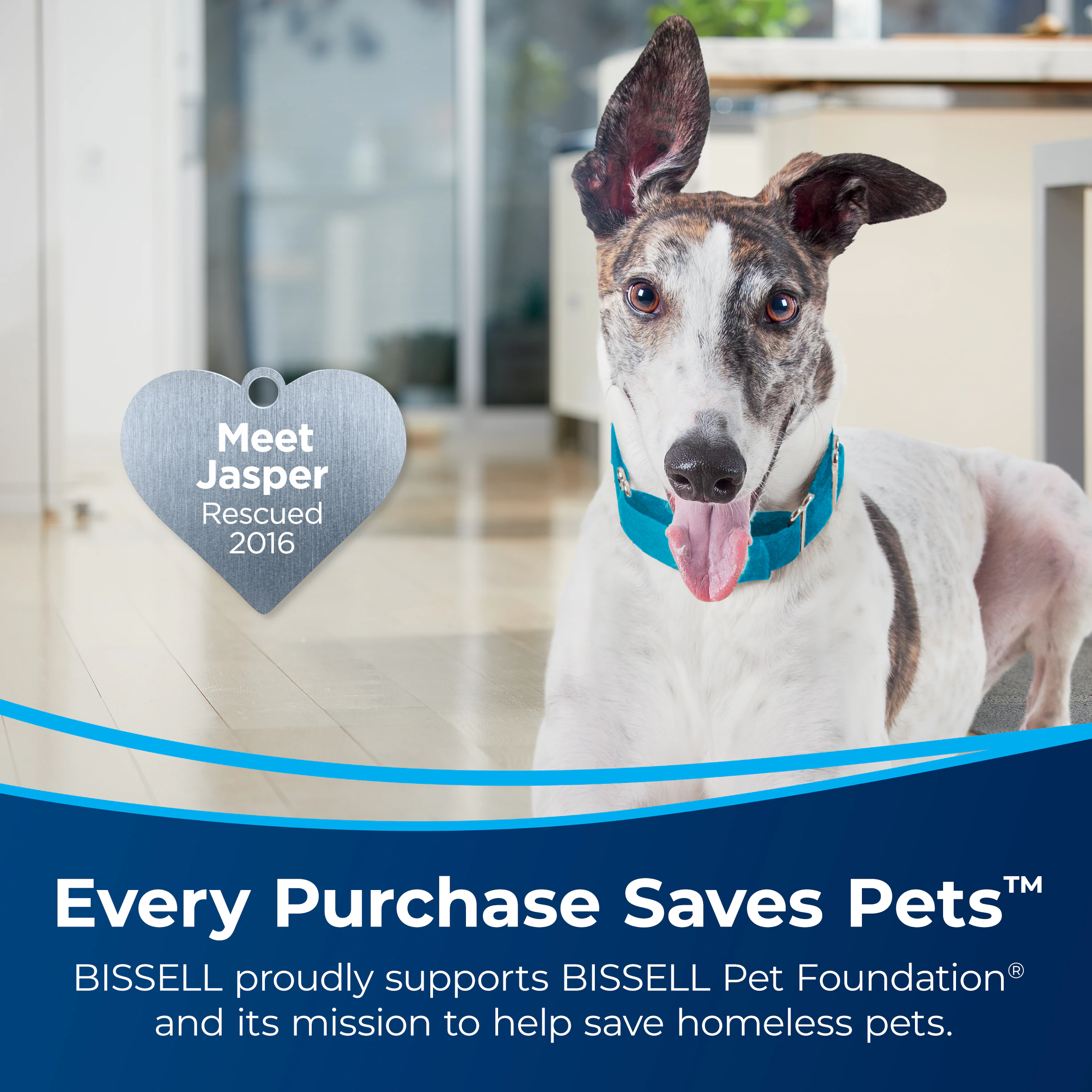 BISSELL SurfaceSense Lift Off Corded Bagless Pet Upright Vacuum with HEPA Filter