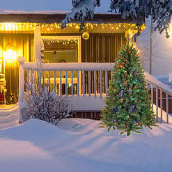 Holiday Living 6.5-ft Seattle Fir Pre-lit LED Artificial Christmas Tree