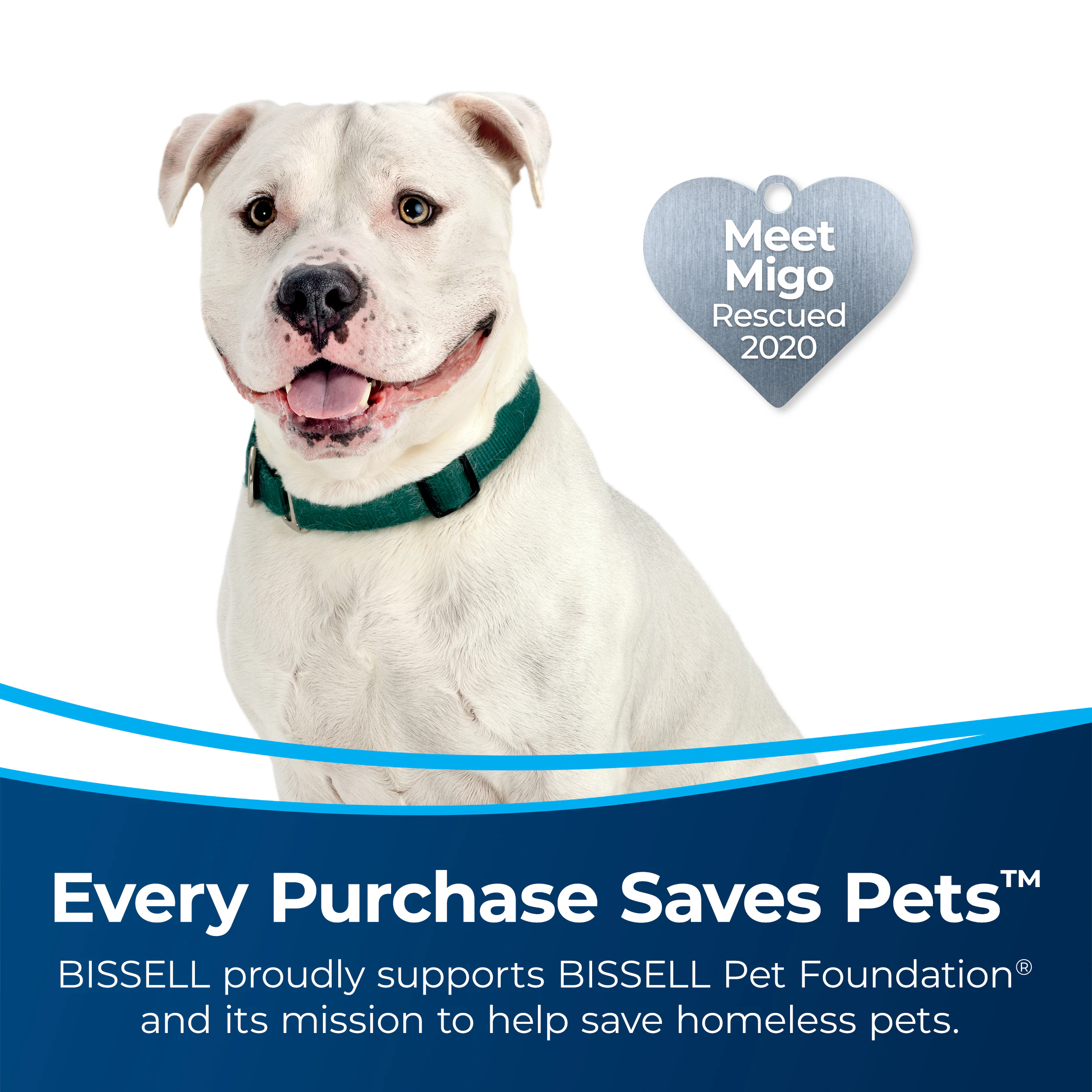 BISSELL MultiClean Allergan Rewind Pet Corded Bagless Pet Upright Vacuum with HEPA Filter