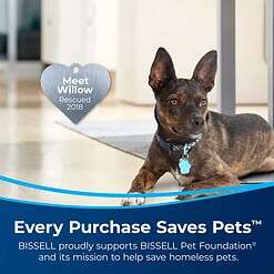 BISSELL Little Green Select