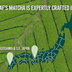 Jade Leaf Matcha Organic Cafe Style Sweetened Matcha Latte Green Tea Powder, Premium Barista Crafted Mix - Authentically Japanese (2.2 Pound Tin)