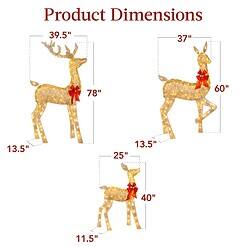 Best Choice Products 6.5ft 3-Piece Large Lighted Christmas Deer Family Set, Outdoor Yard Decoration - Gold