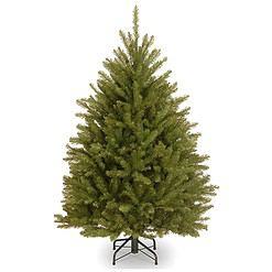 National Tree Company Artificial Mini Christmas Tree, Green, Dunhill Fir, Includes Stand, 4 Feet