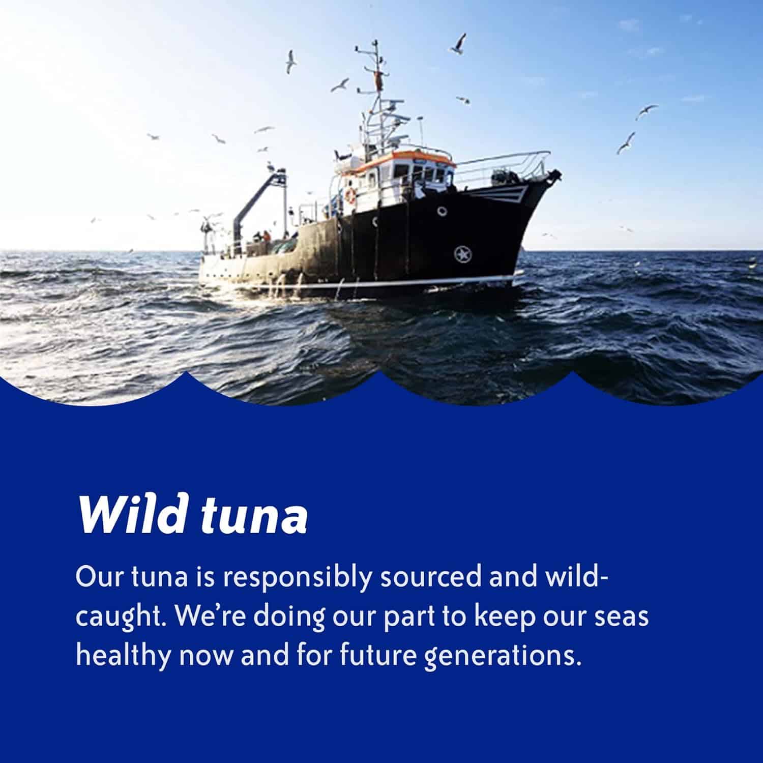 Chicken of the Sea Chunk Light Tuna in Water, 5 Ounce Cans (Pack of 24), Wild Caught Canned Tuna, 25% Less Sodium
