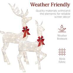Best Choice Products 3-Piece Large Lighted Christmas Deer Family Set 5Ft Outdoor Yard Decoration - White