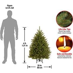 National Tree Company Artificial Mini Christmas Tree, Green, Dunhill Fir, Includes Stand, 4 Feet