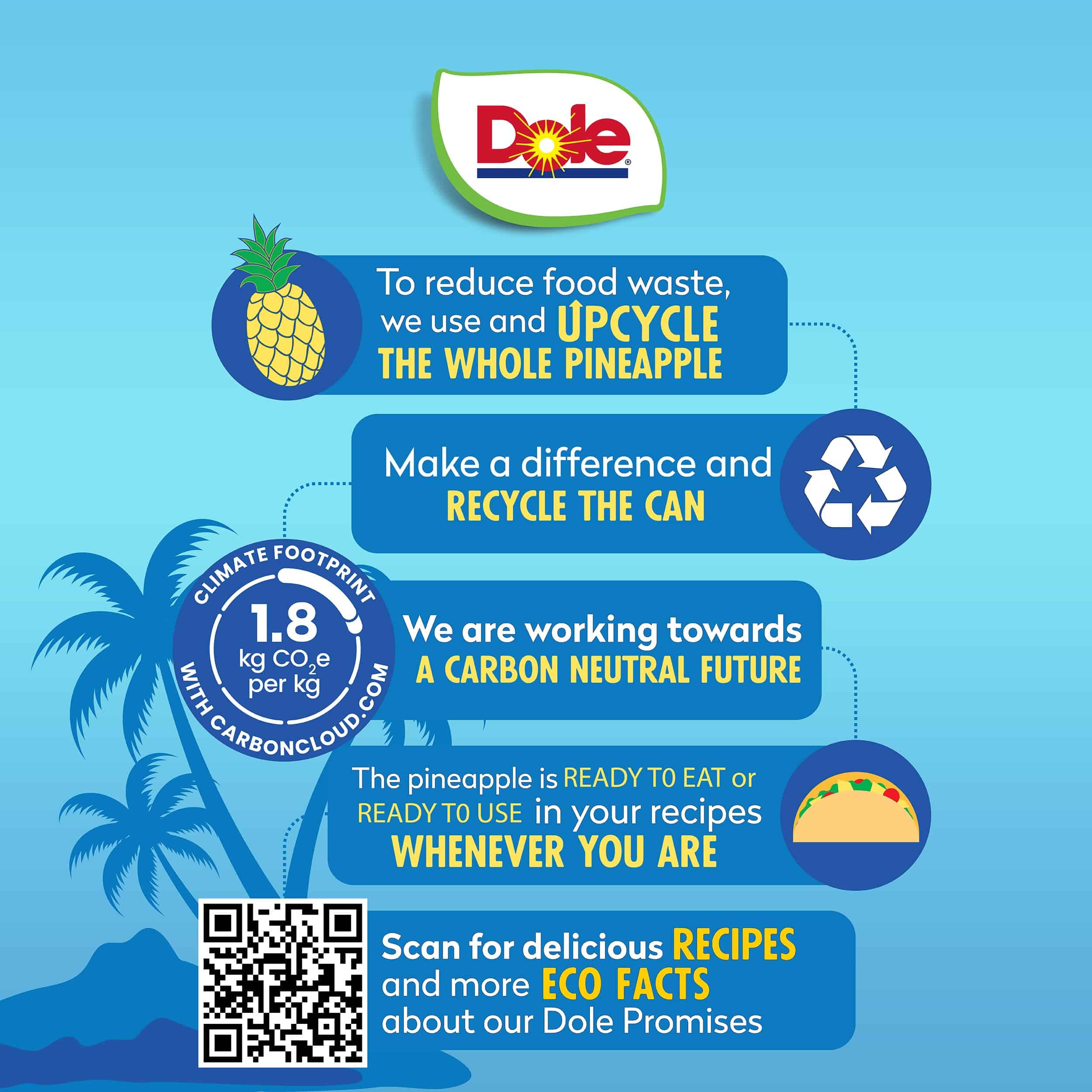 Dole Canned Fruit, Pineapple Tidbits in 100% Pineapple Juice, Gluten Free, Pantry Staples, 20 Oz, 12 Count, Packaging May Vary