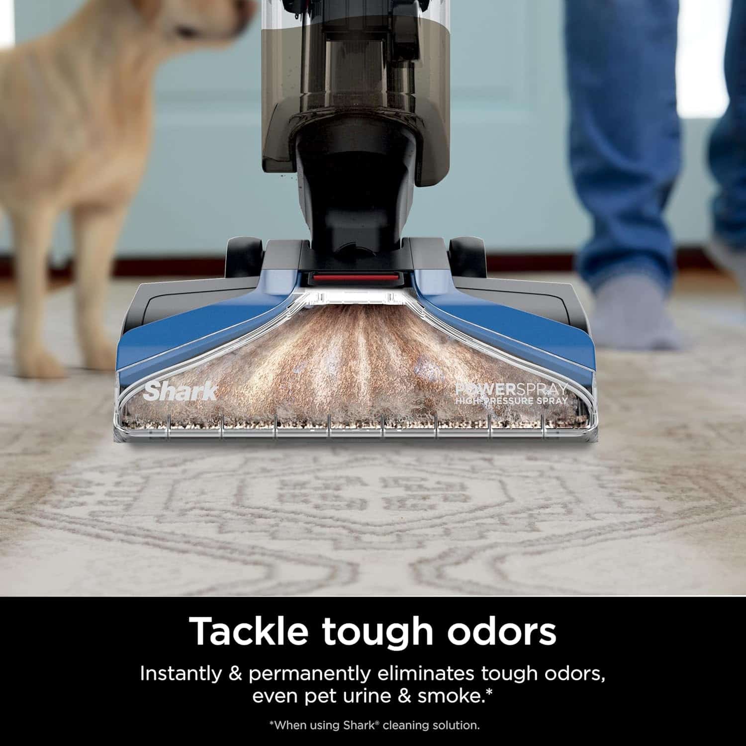 Shark CarpetXpert, Upright Carpet & Area Rug Cleaner for Pets, Deep Carpet Cleaning & Dirt & Grime Removal, Carpet Shampooer, Blue, EX121BRN