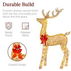 Best Choice Products 6.5ft 3-Piece Large Lighted Christmas Deer Family Set, Outdoor Yard Decoration - Gold