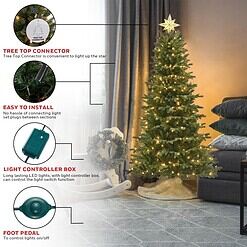 Honeywell 6.5 ft Pre-Lit Christmas Tree with 2064 PVC/PE Tips, Churchill Pine Artificial Christmas Tree with 300 Color Changing LEDs
