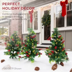 Best Choice Products Set of 2 24.5in Outdoor Scotch Pine Pathway Christmas Trees Decor w/ LED Lights, Pine Cones