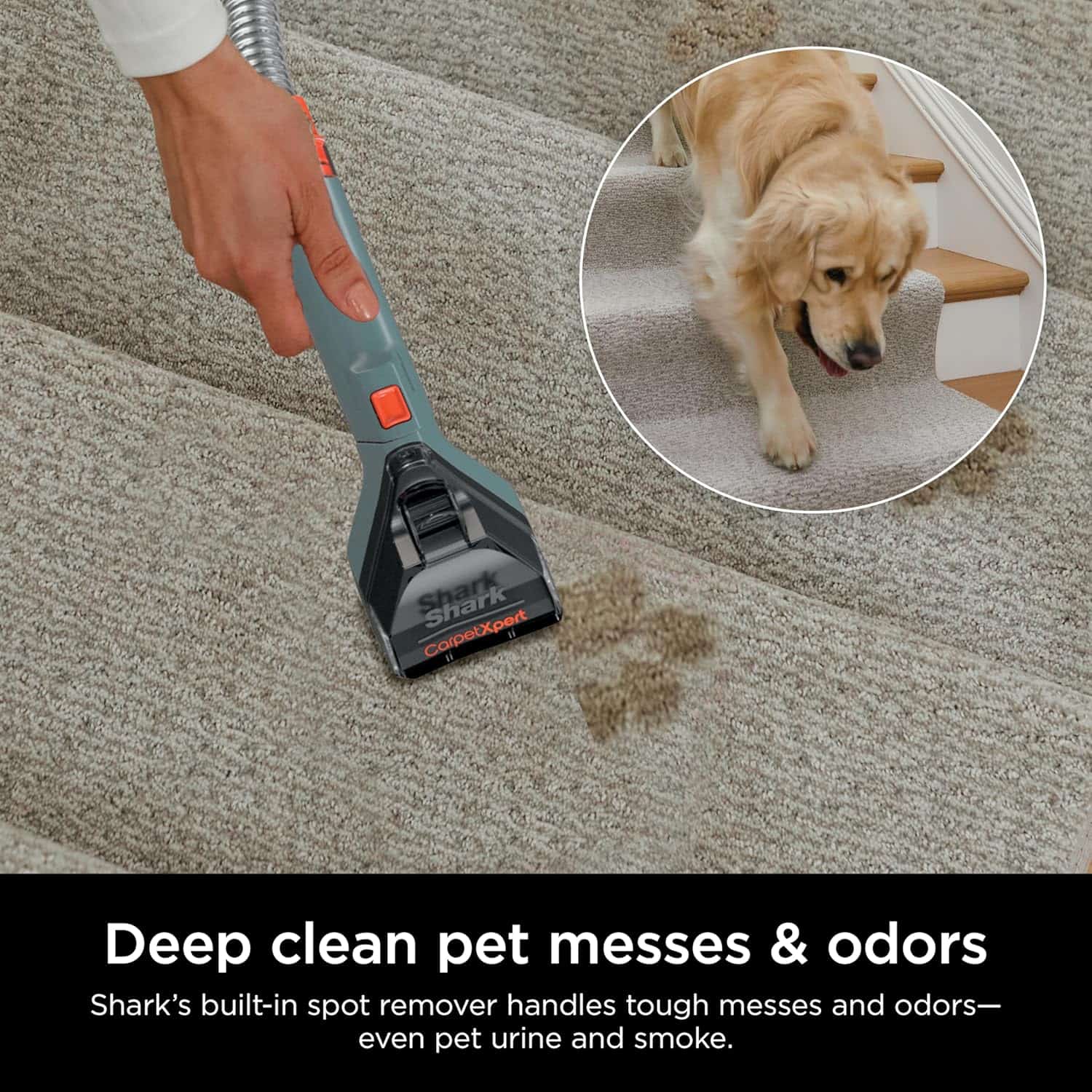 Shark CarpetXpert Upright Deep Carpet Cleaner with Handheld Spot & Stain Eliminator, 12oz Cleanser, Dirt & Grime Removal, Carpet Shampooer, Slate Green, EX151