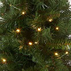 National Tree MJ3-24BGLO-B1 Tree, 24