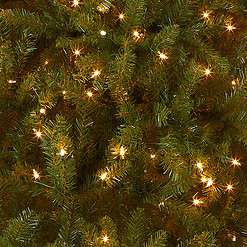 National Tree Company Pre-Lit Artificial Full Christmas Tree, Green, Dunhill Fir, White Lights, Includes Stand, 7.5 Feet