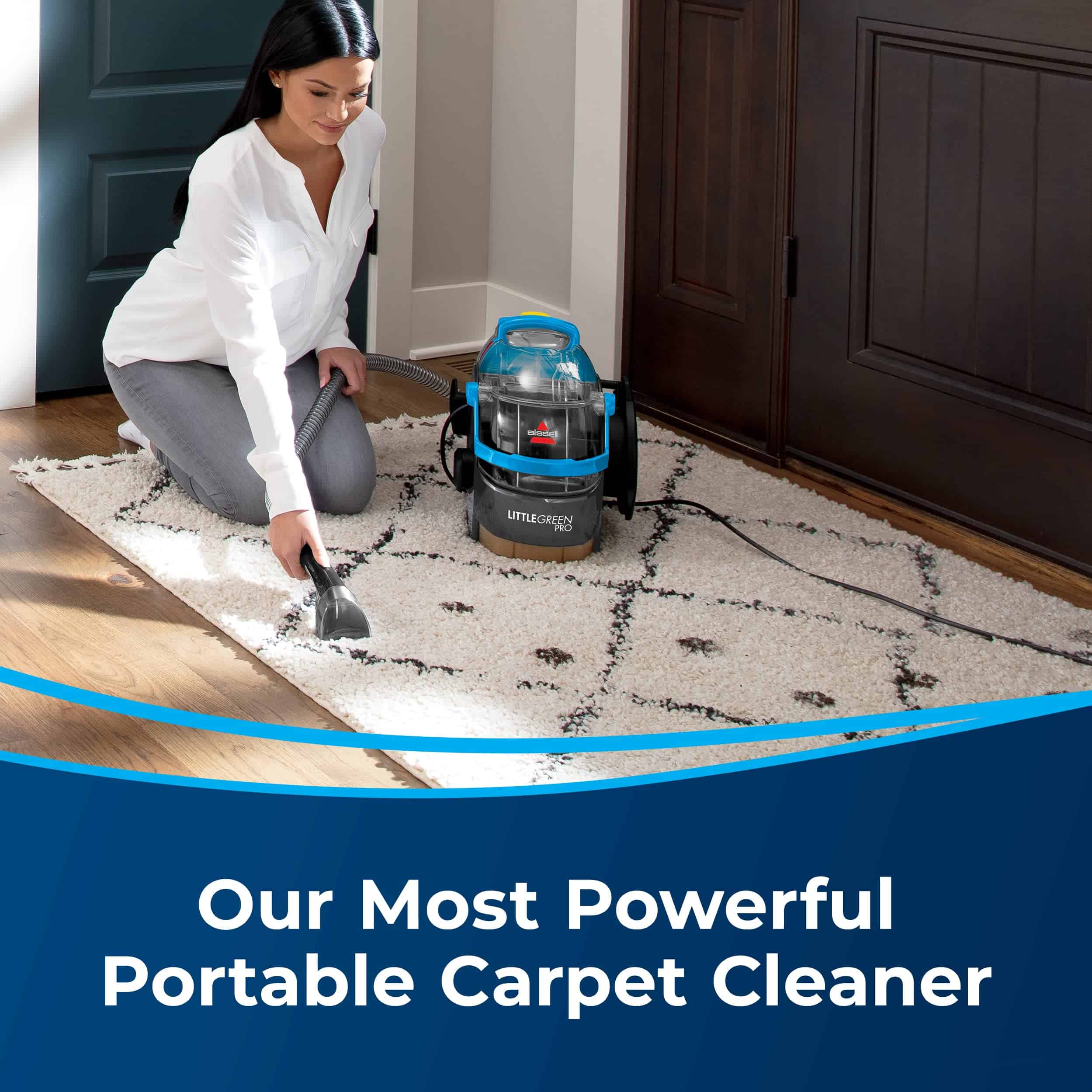 Bissell 3194 Little Green Pro Portable Carpet & Upholstery Cleaner and Car/Auto Detailer with Deep Stain Tool, 3" Tough Stain Tool