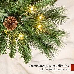 Best Choice Products Pre-Lit Scotch Pine Pencil Christmas Tree, 6ft Premium Skinny Pre-Decorated Holiday Decor