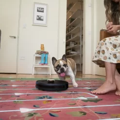 bObsweep - PetHair SLAM Wi-Fi Connected Robot Vacuum Cleaner - Austin Espresso