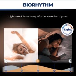 Lightinginside Candelabra Smart Light Bulbs 60W Equivalent, 500LM 6W E12 LED Bulb Compatible with Alexa/Google Home, 6PCS