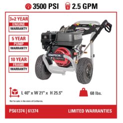 SIMPSON Pro Series 3500 PSI 2.5-GPM Cold Water Gas Pressure Washer with 5 Spray Tips