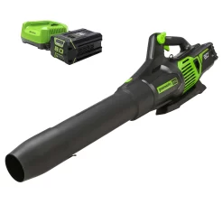 Greenworks 80-volt 730-CFM 170-MPH Battery Handheld Leaf Blower 2.5 Ah (Battery and Charger Included)