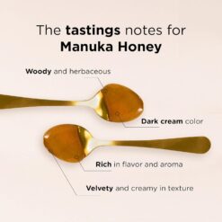 MANUKA DOCTOR - MGO 525+ Manuka Honey Monofloral (1.1 lbs) 100% Pure New Zealand Honey, Non-GMO