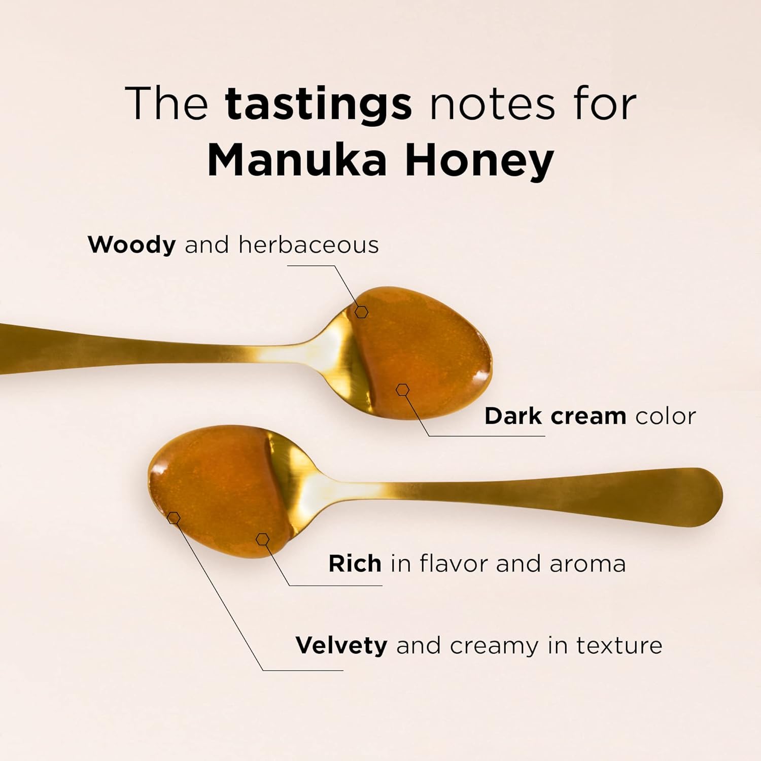 MANUKA DOCTOR - MGO 525+ Manuka Honey Monofloral (1.1 lbs) 100% Pure New Zealand Honey, Non-GMO