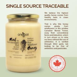 Oneroot Canadian Flower Honey - 1kg / 2.2lbs, Honey Wildflower Unfiltered, Unheated & Creamed