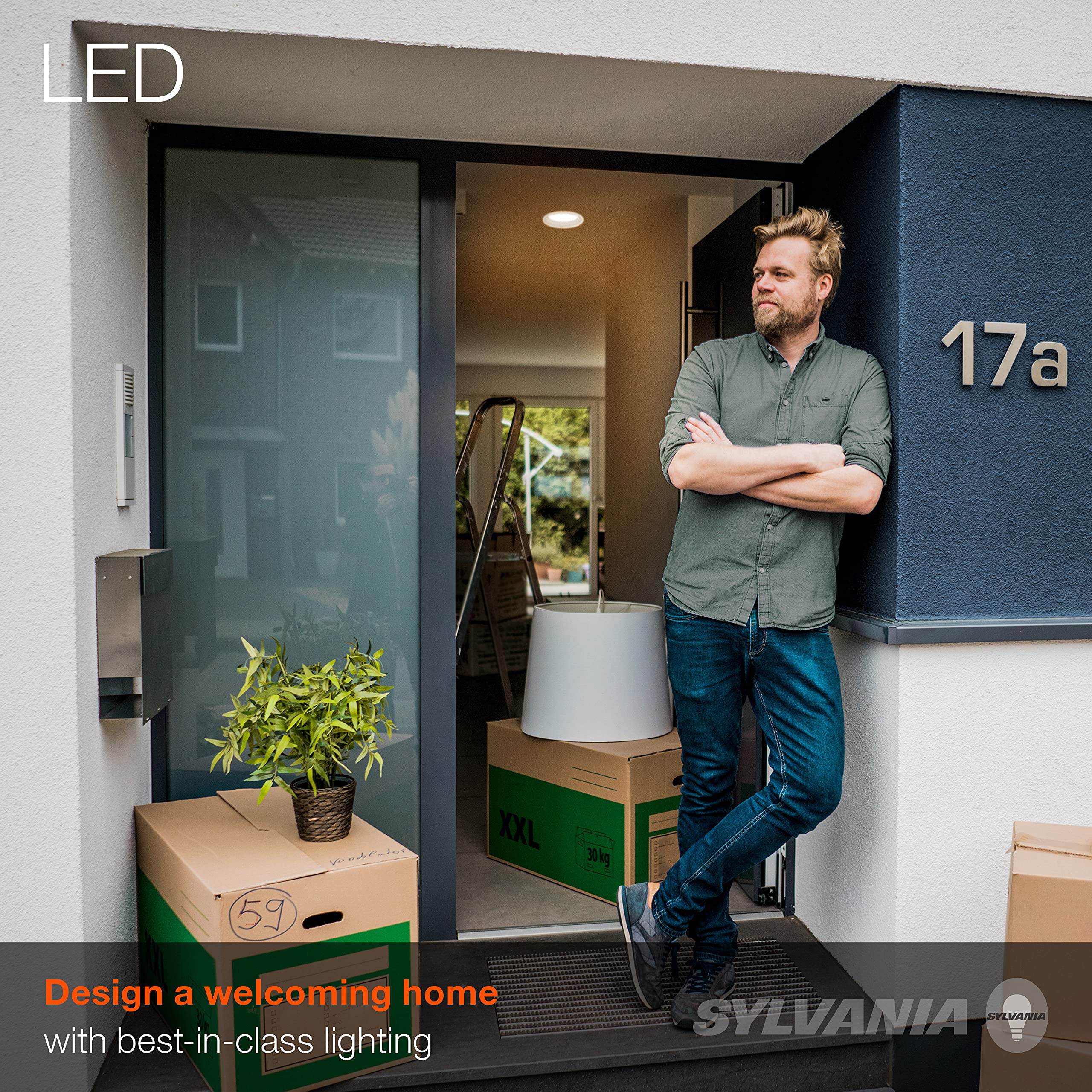 Sylvania LED Flood BR30 Light Bulb, 65W = 9W, 650 Lumens, Dimmable, 2700K, Soft White - 12 Pack (41262)