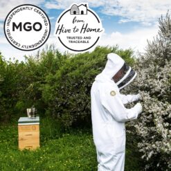 MANUKA DOCTOR - MGO 525+ Manuka Honey Monofloral (1.1 lbs) 100% Pure New Zealand Honey, Non-GMO