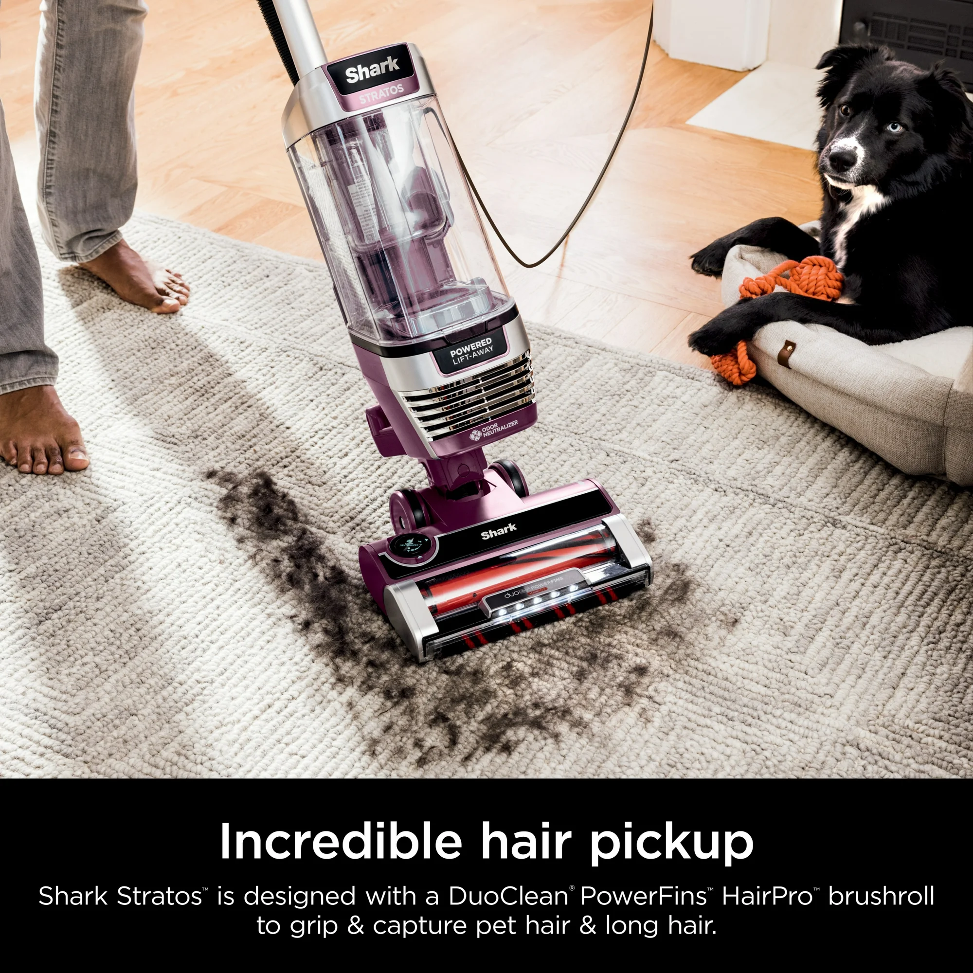 Shark Stratos Upright Vacuum with DuoClean PowerFins HairPro, Self-Cleaning Brushroll, Odor Neutralizer Technology, AZ3000