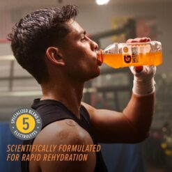 Gatorlyte Rapid Rehydration Electrolyte Beverage, Variety Pack 2.0, 20 Fl Oz (Pack of 12)