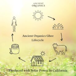Ancient Organics Ghee, Organic Grass Fed Ghee Butter - Gluten Free Ghee, Clarified Butter, Vitamins & Omegas - 32 Fl Oz (Pack of 1)