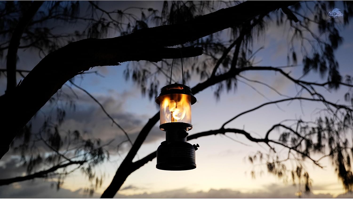Coleman Powerhouse Dual Fuel Lantern