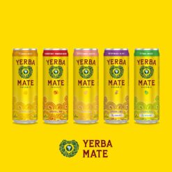 Guayakí Yerba Mate, Organic Sparkling Energy Drink Alternative, Grapefruit Ginger, 15.5 Oz (Pack of 12) (Packaging May Vary)