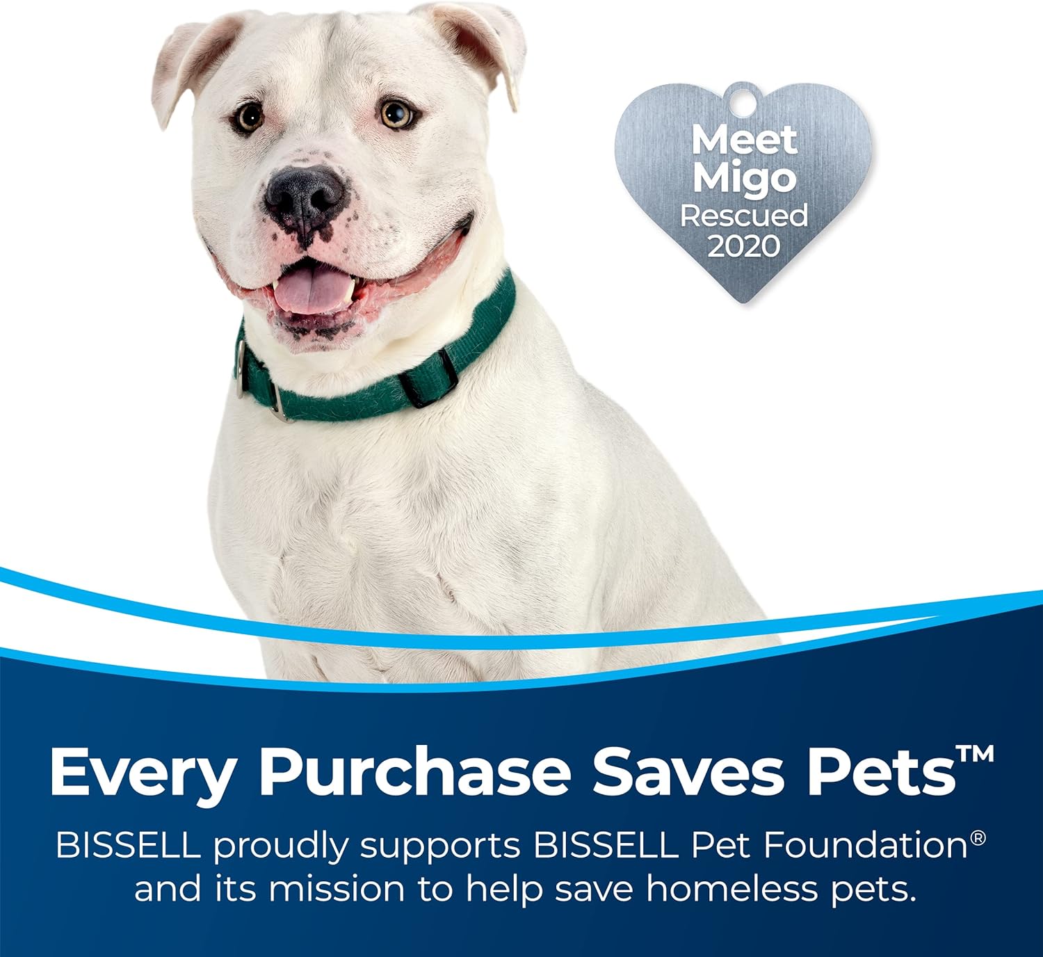 Bissell MultiClean Allergen Rewind Pet Vacuum with HEPA Filter Sealed System, Automatic Cord Rewind, 3402